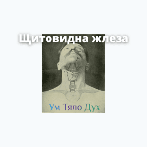 Щитовидна жлеза, Хашимото, тироидит, хипофункция, хиперфункция, хормони