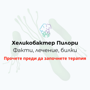 Хеликобактер пилори, лечение, диета, хранене