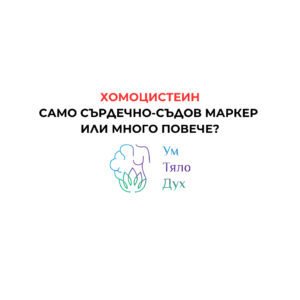 хомоцистеин, метилация, детоксикация, намаляне на хомоцистеин